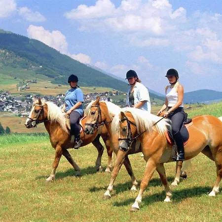 In Tyrol Near Slopes