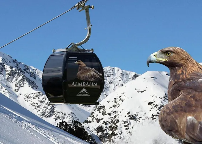 In Tyrol Near Slopes Hochgallmig